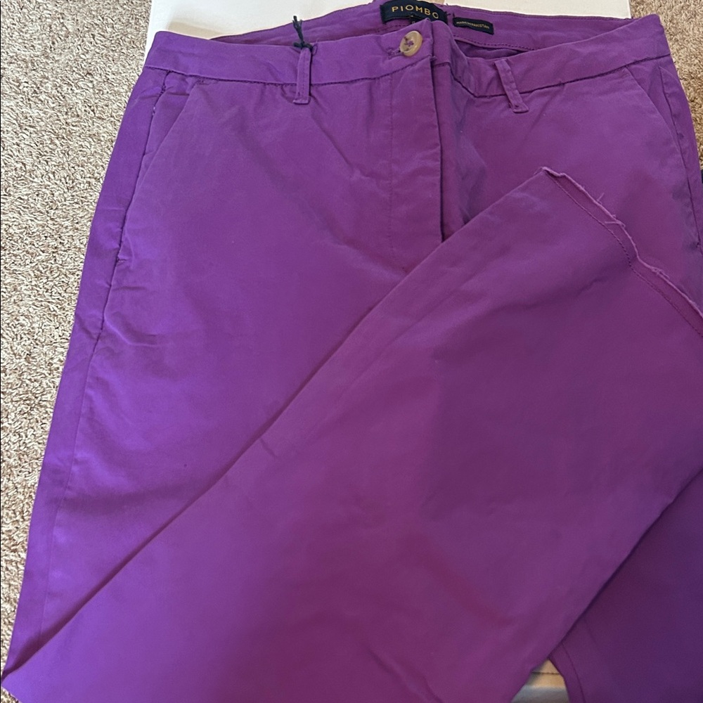 Piombo Vibrant Purple Pants US 14-16